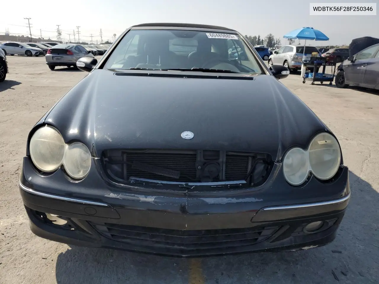 2008 Mercedes-Benz Clk 350 VIN: WDBTK56F28F250346 Lot: 60489885