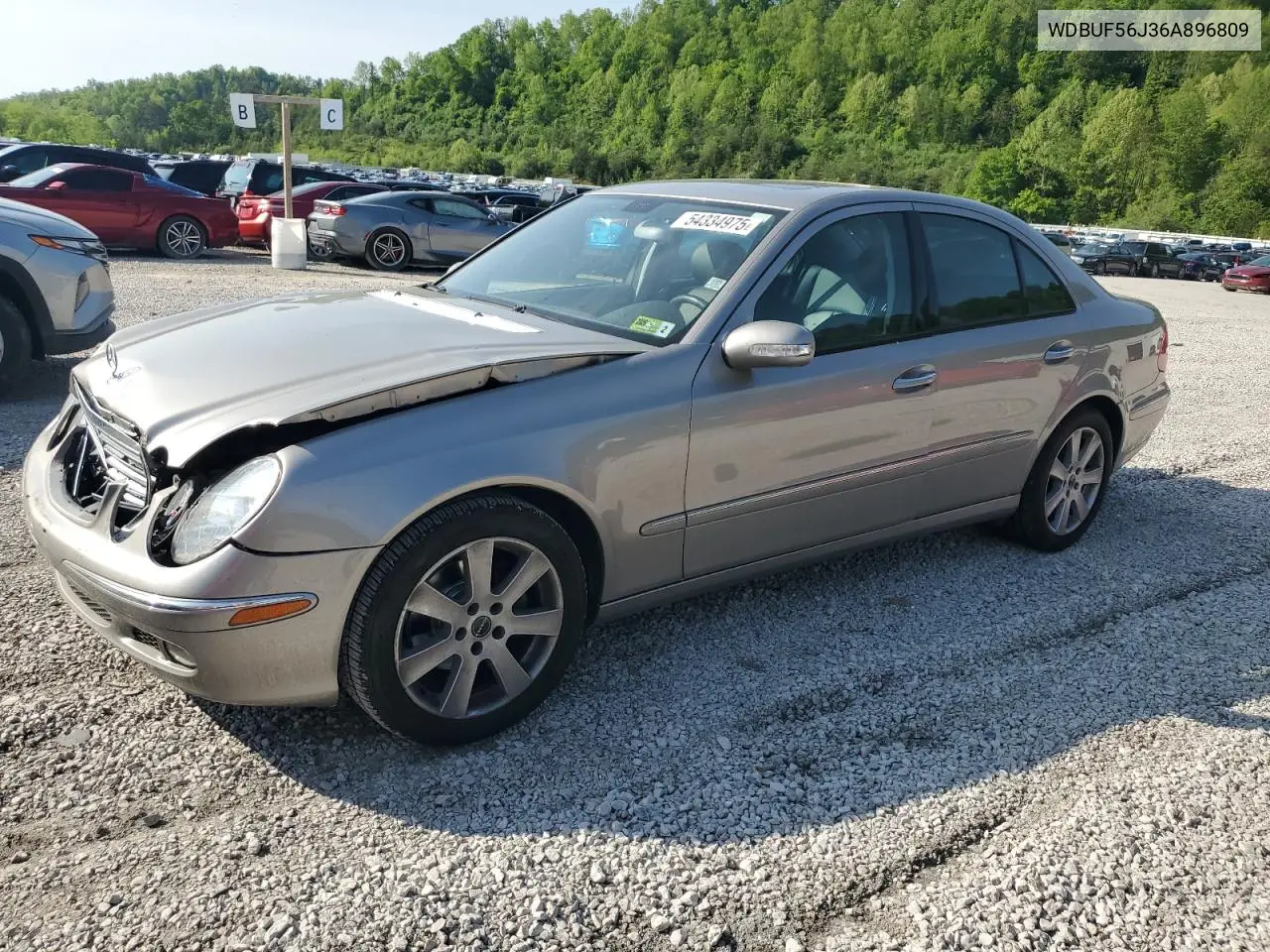 2006 Mercedes-Benz E 350 VIN: WDBUF56J36A896809 Lot: 54334975
