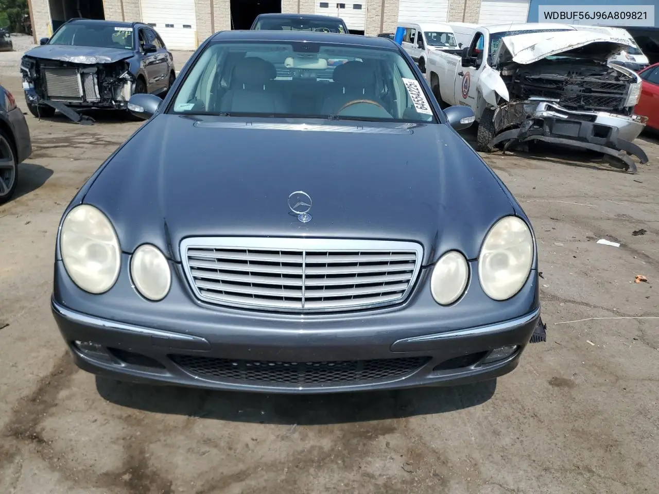 2006 Mercedes-Benz E 350 VIN: WDBUF56J96A809821 Lot: 64554225