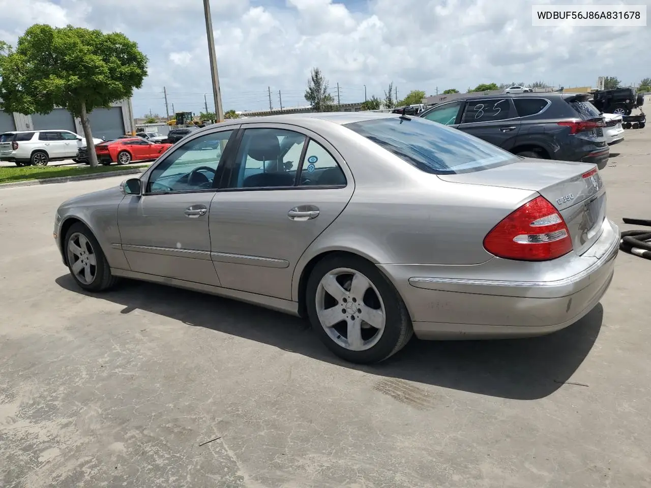 2006 Mercedes-Benz E 350 VIN: WDBUF56J86A831678 Lot: 65515415