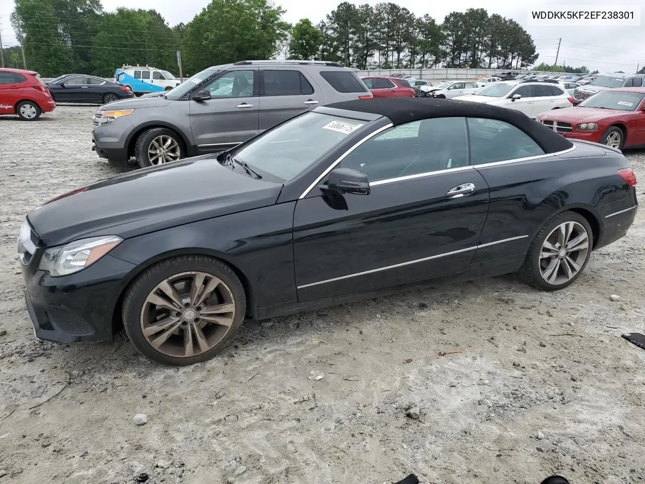 2014 Mercedes-Benz E 350 VIN: WDDKK5KF2EF238301 Lot: 53806775