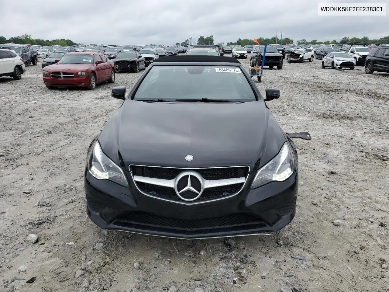 2014 Mercedes-Benz E 350 VIN: WDDKK5KF2EF238301 Lot: 53806775