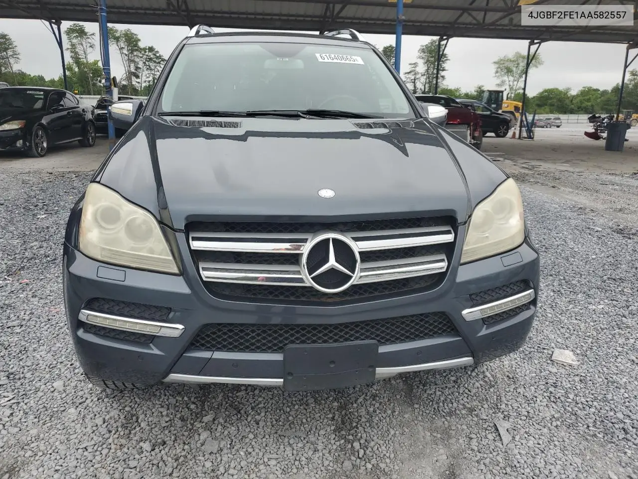 2010 Mercedes-Benz Gl 350 Bluetec VIN: 4JGBF2FE1AA582557 Lot: 61640665