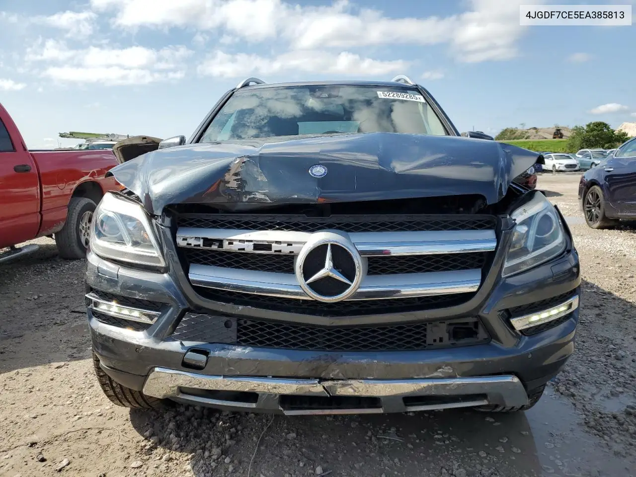 2014 Mercedes-Benz Gl 450 4Matic VIN: 4JGDF7CE5EA385813 Lot: 52289285