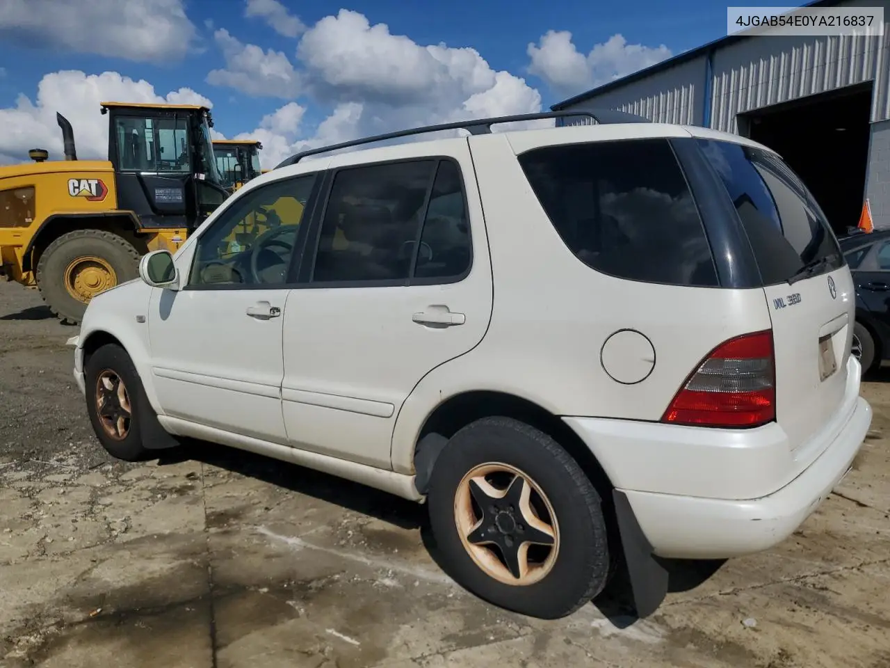 2000 Mercedes-Benz Ml 320 VIN: 4JGAB54E0YA216837 Lot: 64672065