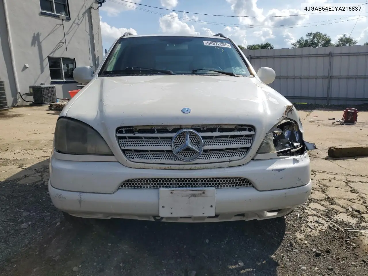 2000 Mercedes-Benz Ml 320 VIN: 4JGAB54E0YA216837 Lot: 64672065