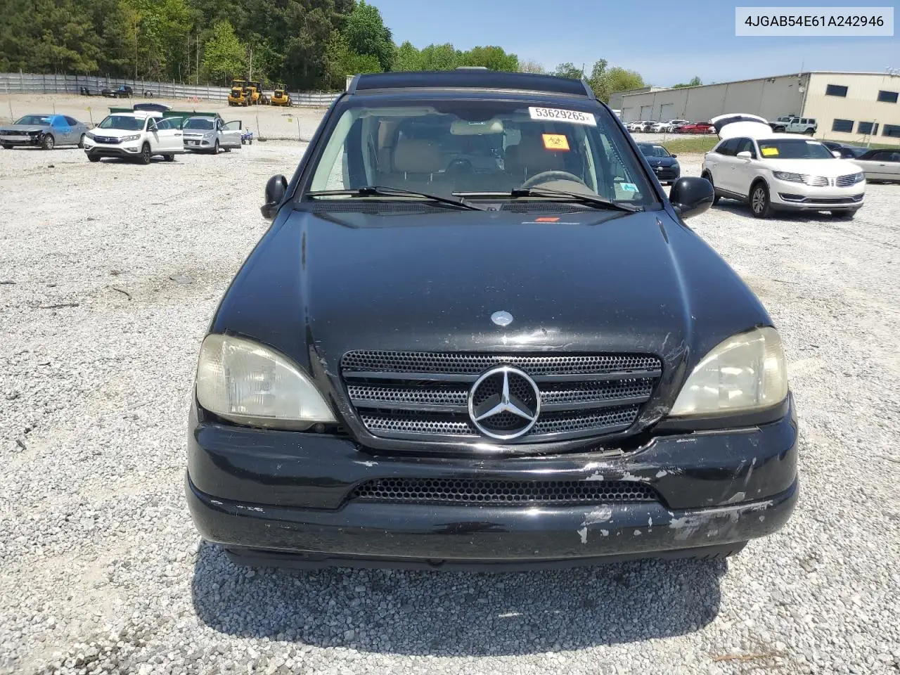 2001 Mercedes-Benz Ml 320 VIN: 4JGAB54E61A242946 Lot: 53629265