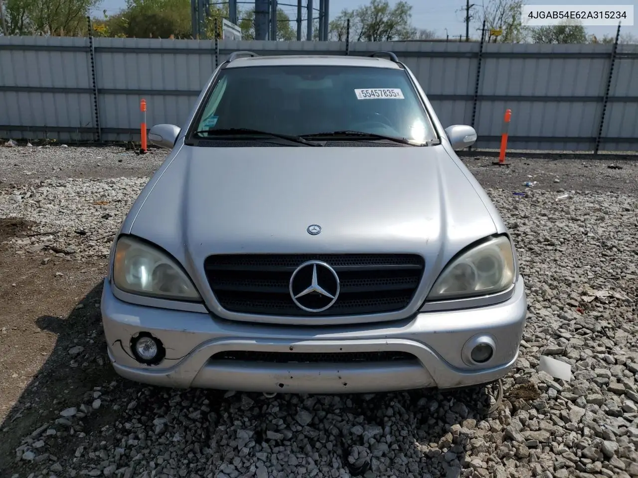 2002 Mercedes-Benz Ml 320 VIN: 4JGAB54E62A315234 Lot: 55457835