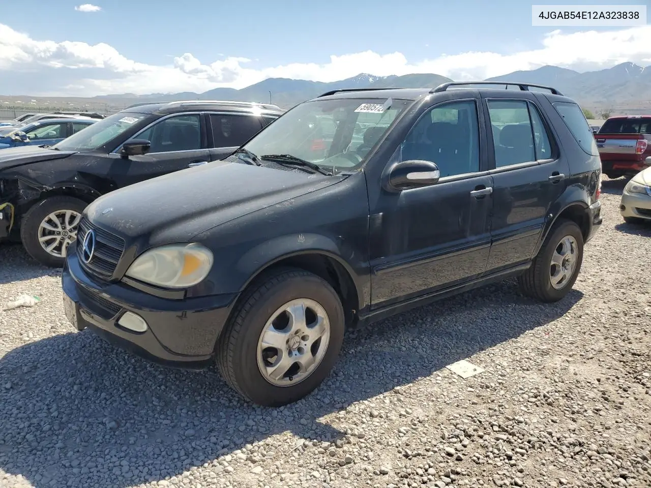 2002 Mercedes-Benz Ml 320 VIN: 4JGAB54E12A323838 Lot: 59057205