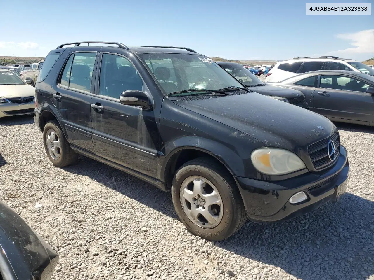 2002 Mercedes-Benz Ml 320 VIN: 4JGAB54E12A323838 Lot: 59057205