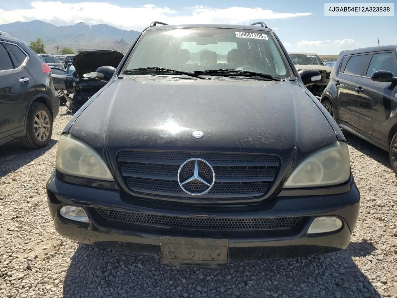 2002 Mercedes-Benz Ml 320 VIN: 4JGAB54E12A323838 Lot: 59057205