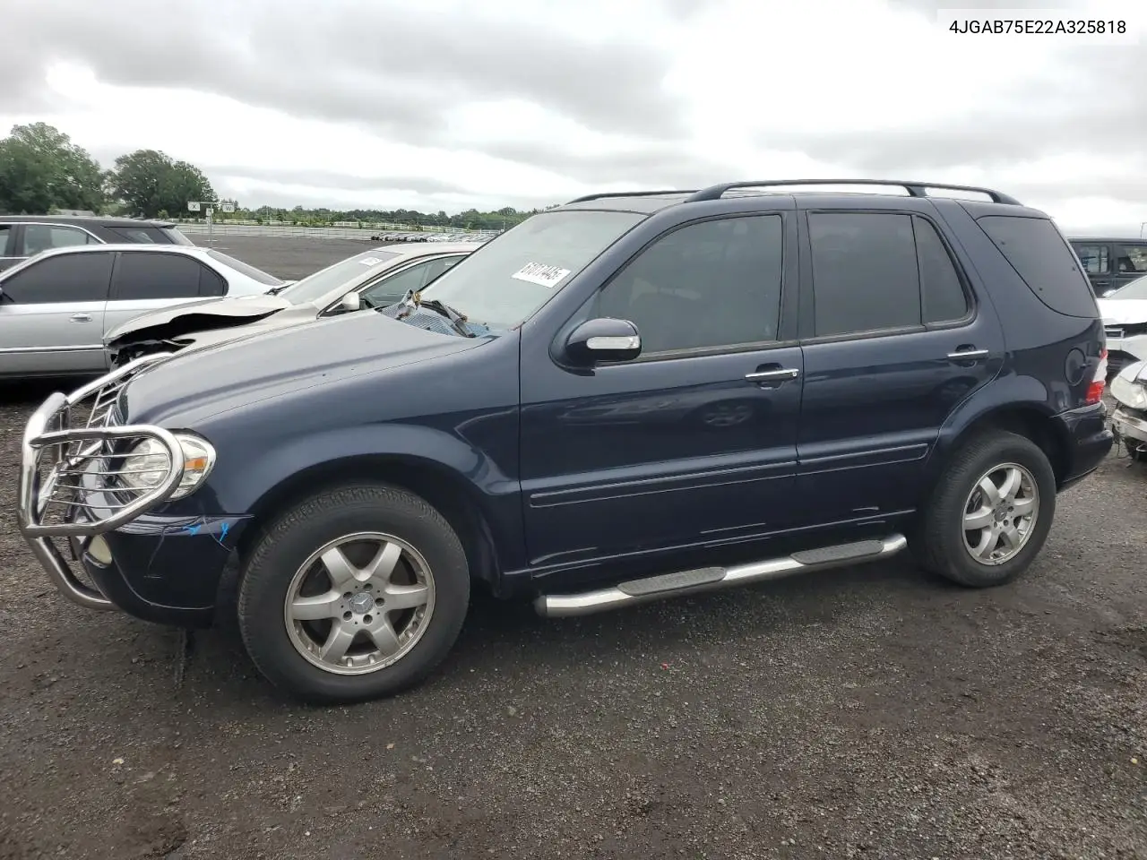 2002 Mercedes-Benz Ml 500 VIN: 4JGAB75E22A325818 Lot: 61017445
