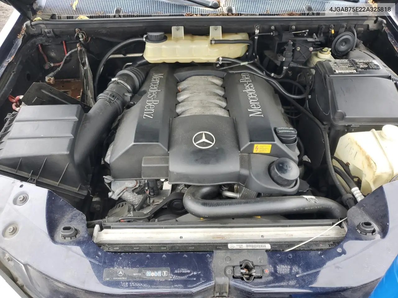 2002 Mercedes-Benz Ml 500 VIN: 4JGAB75E22A325818 Lot: 61017445