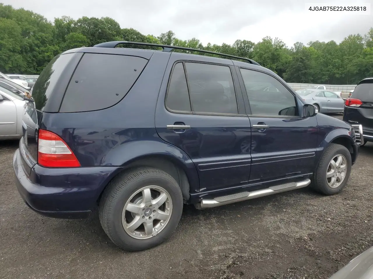 2002 Mercedes-Benz Ml 500 VIN: 4JGAB75E22A325818 Lot: 61017445