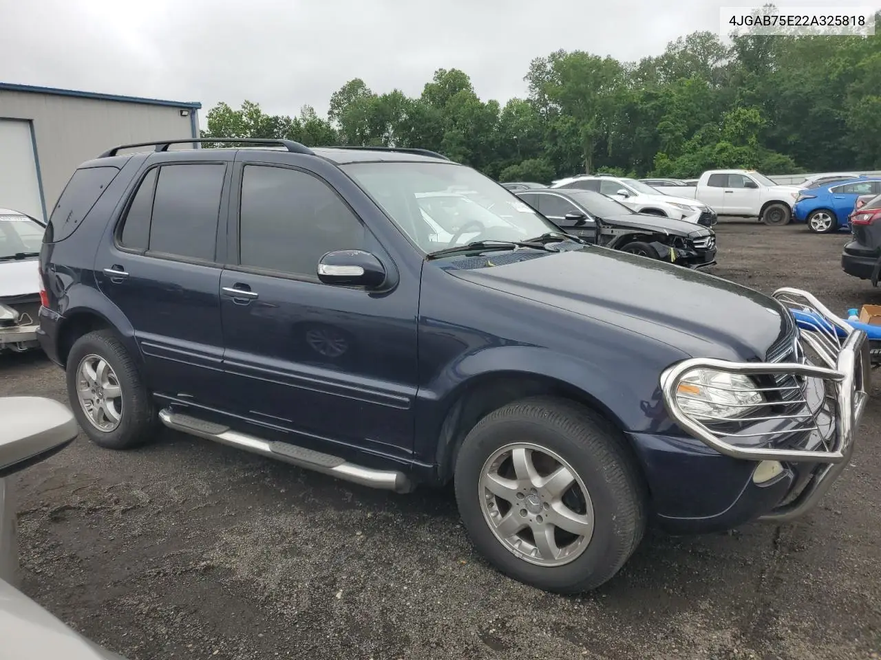 2002 Mercedes-Benz Ml 500 VIN: 4JGAB75E22A325818 Lot: 61017445