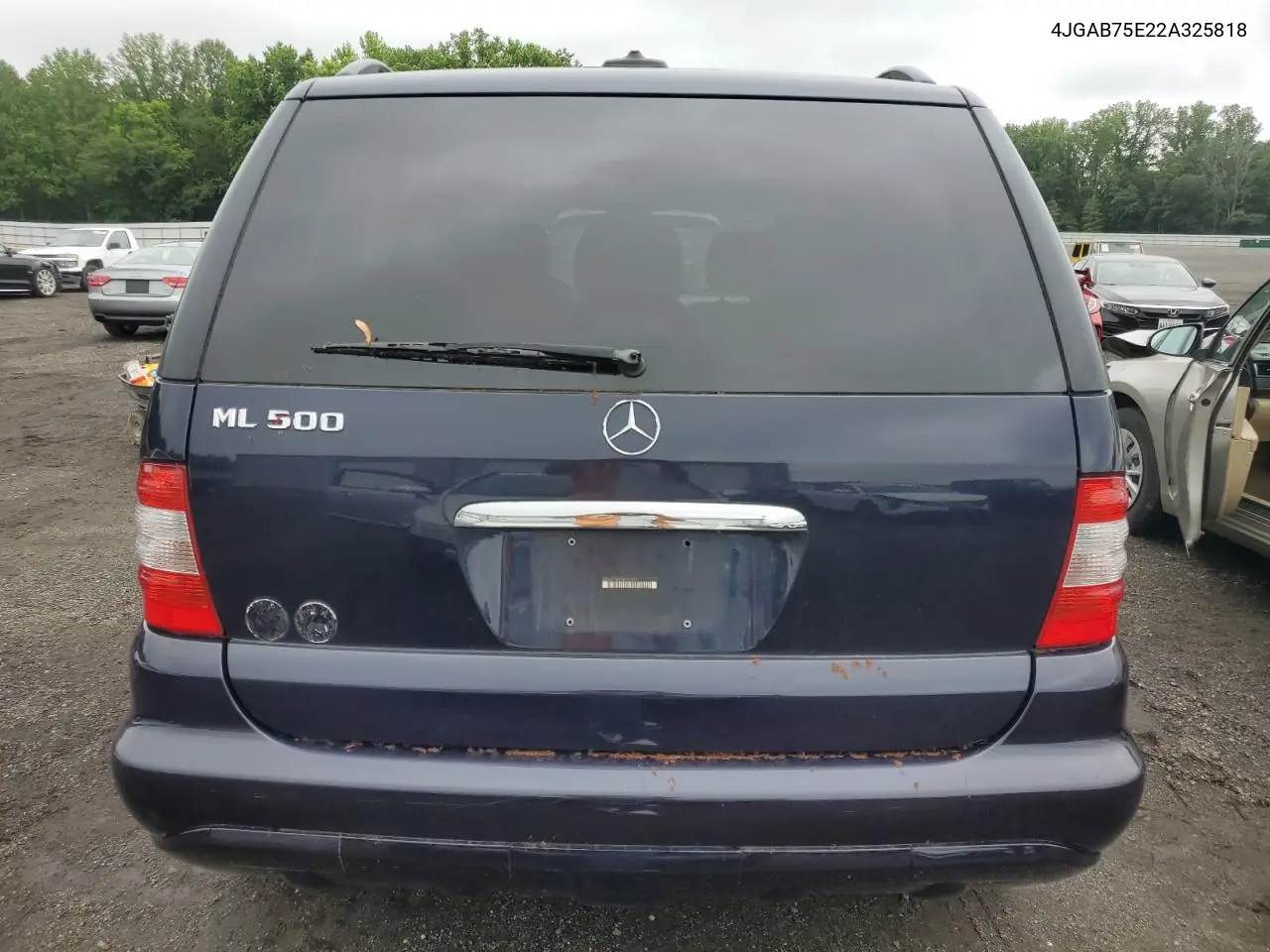 2002 Mercedes-Benz Ml 500 VIN: 4JGAB75E22A325818 Lot: 61017445
