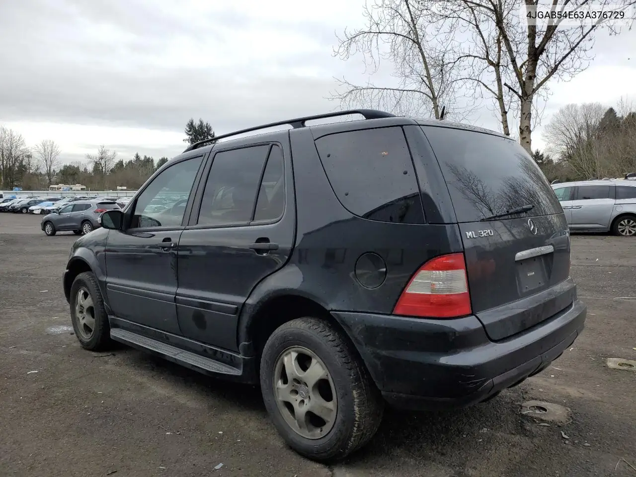 2003 Mercedes-Benz Ml 320 VIN: 4JGAB54E63A376729 Lot: 49922875