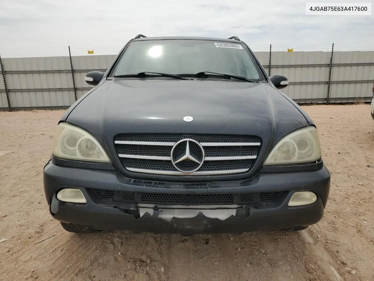 2003 Mercedes-Benz Ml 500 VIN: 4JGAB75E63A417600 Lot: 54395365