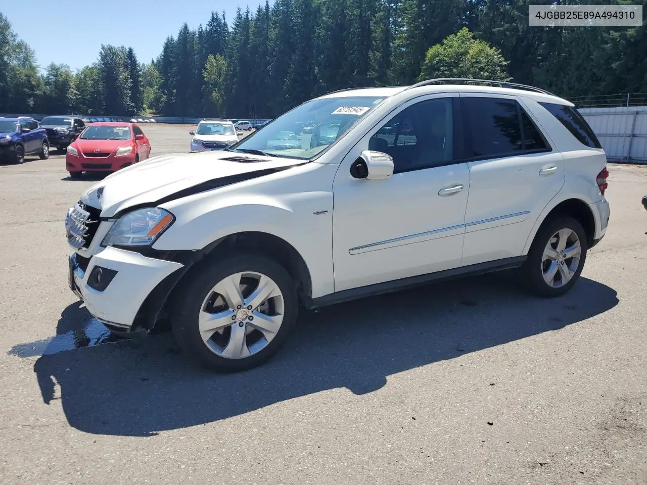 2009 Mercedes-Benz Ml VIN: 4JGBB25E89A494310 Lot: 62751545