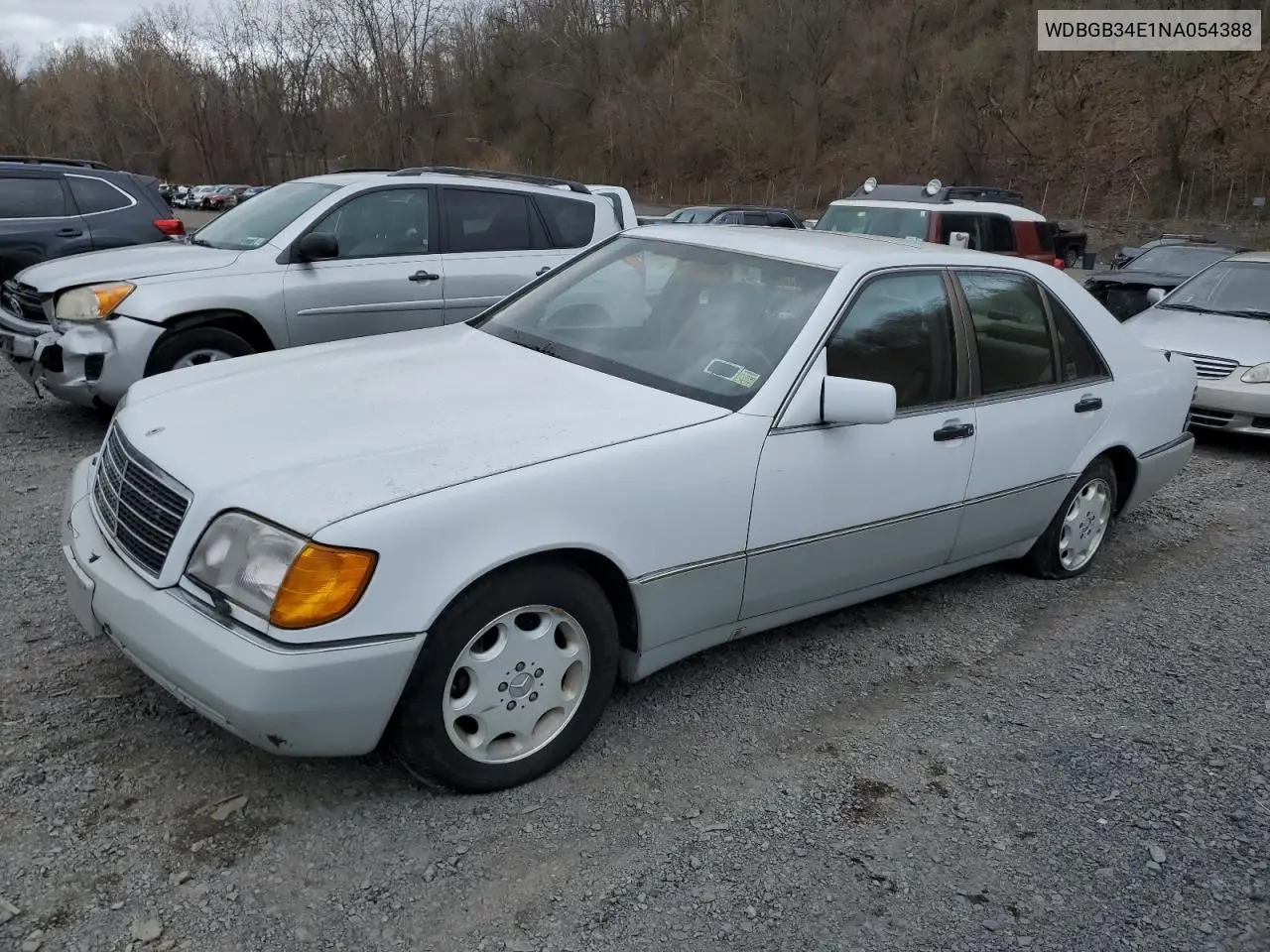 1992 Mercedes-Benz 300 Sd VIN: WDBGB34E1NA054388 Lot: 53197605