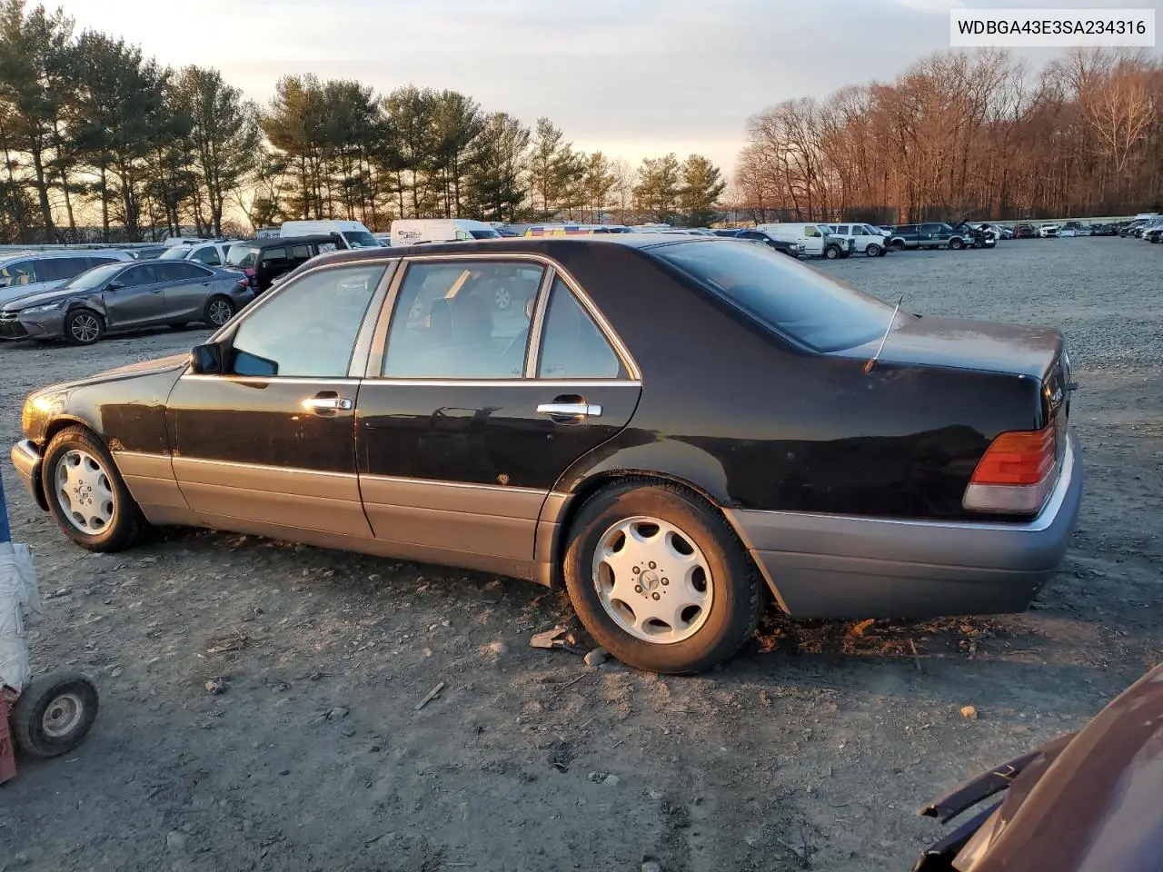 1995 Mercedes-Benz S 420 VIN: WDBGA43E3SA234316 Lot: 44569185