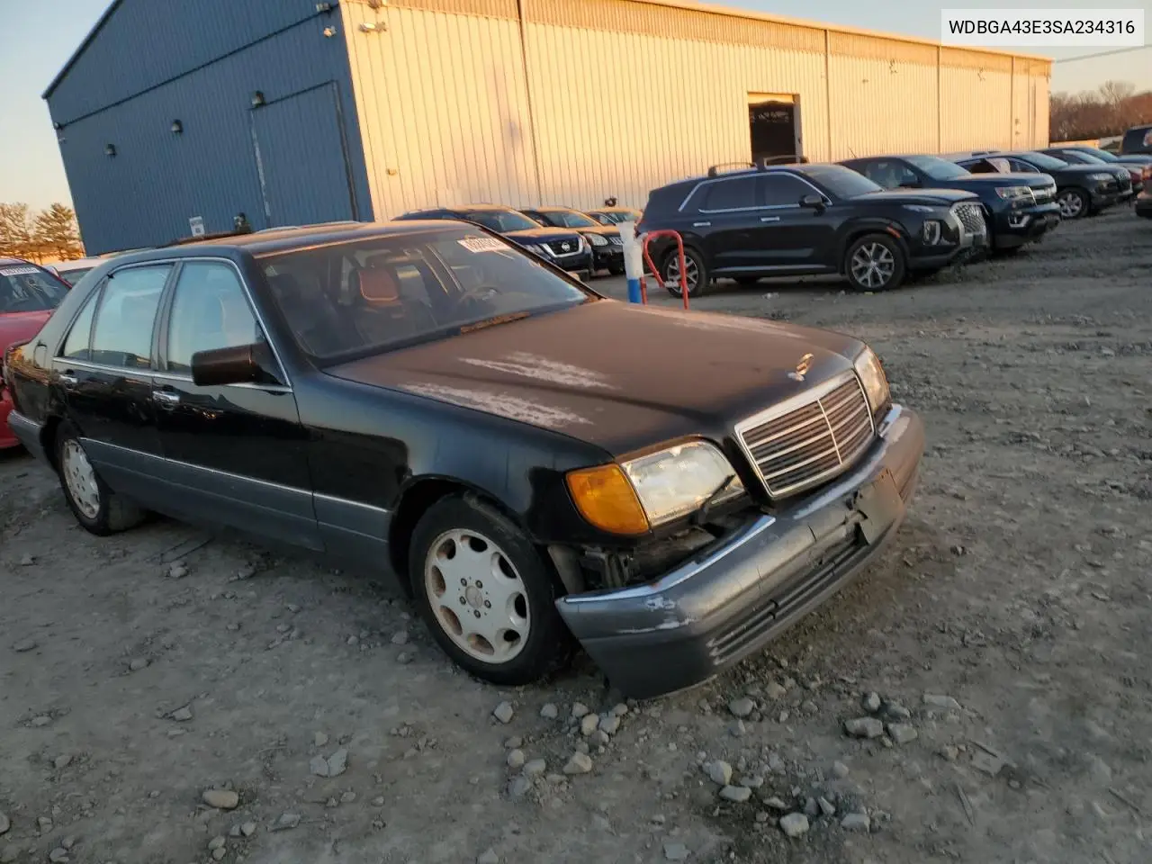 1995 Mercedes-Benz S 420 VIN: WDBGA43E3SA234316 Lot: 44569185