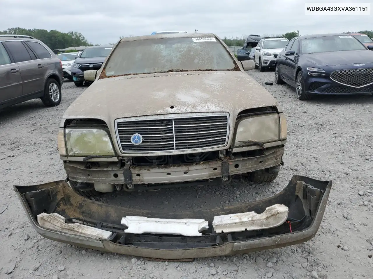 1997 Mercedes-Benz S 420 VIN: WDBGA43GXVA361151 Lot: 54459925