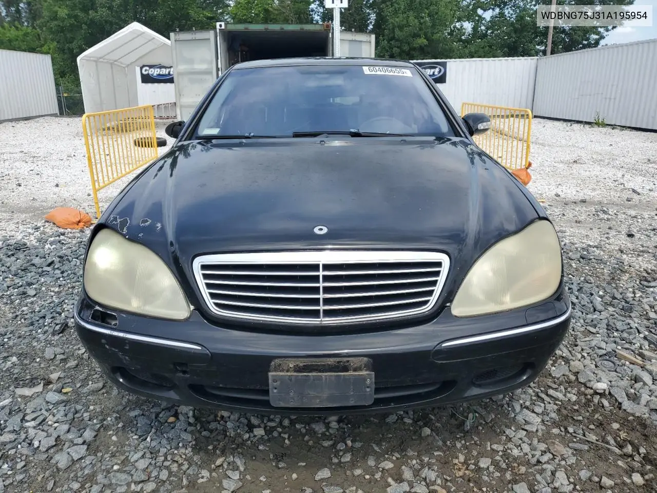 2001 Mercedes-Benz S 500 VIN: WDBNG75J31A195954 Lot: 60406655