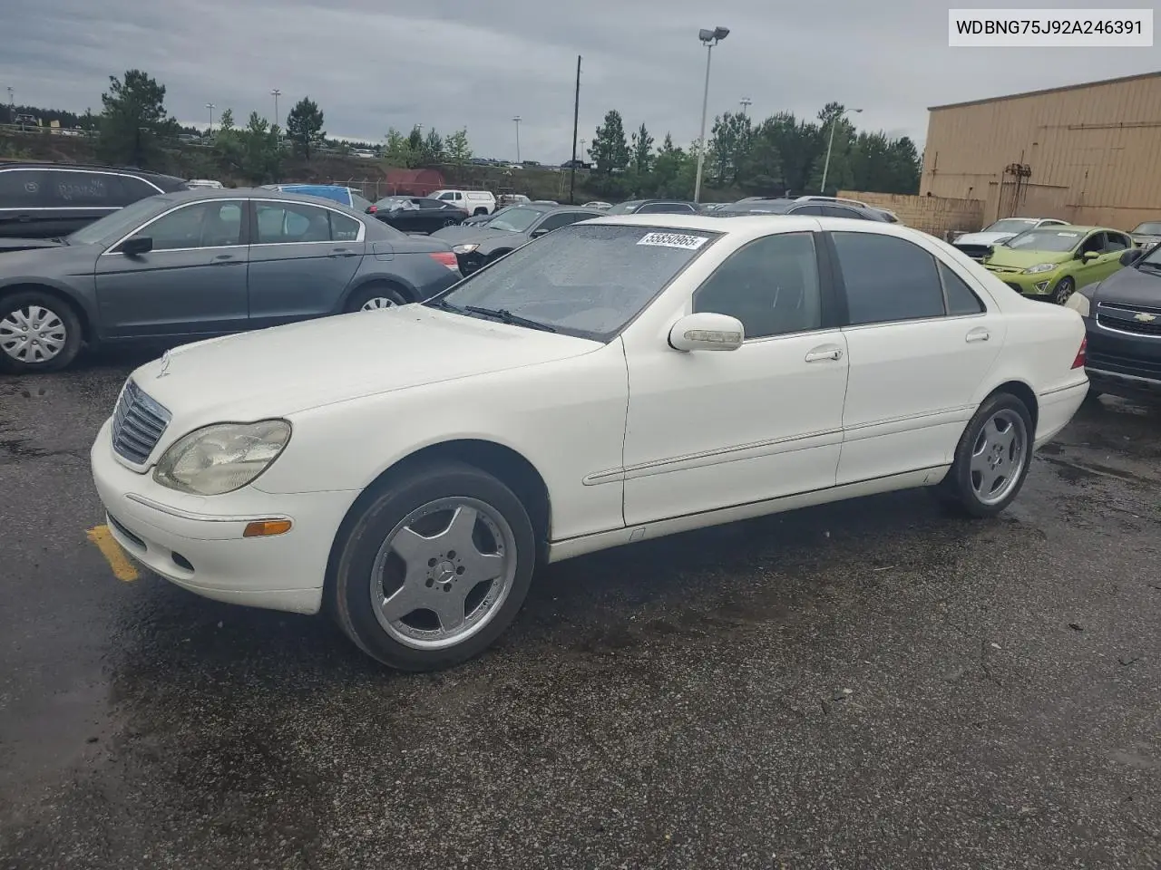 2002 Mercedes-Benz S 500 VIN: WDBNG75J92A246391 Lot: 55850965