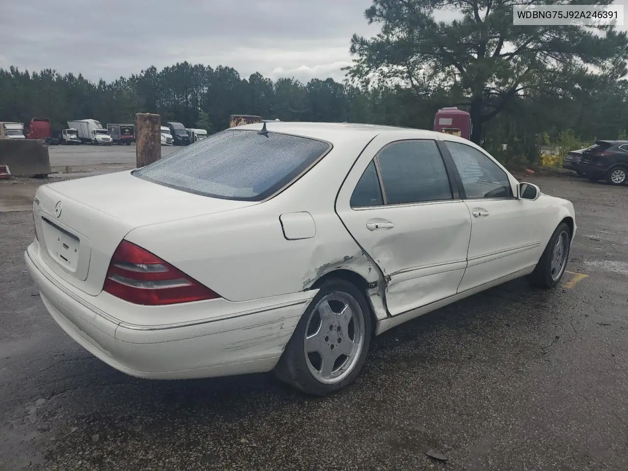 2002 Mercedes-Benz S 500 VIN: WDBNG75J92A246391 Lot: 55850965