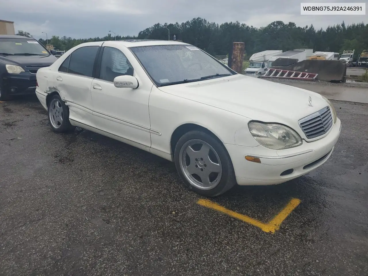 2002 Mercedes-Benz S 500 VIN: WDBNG75J92A246391 Lot: 55850965