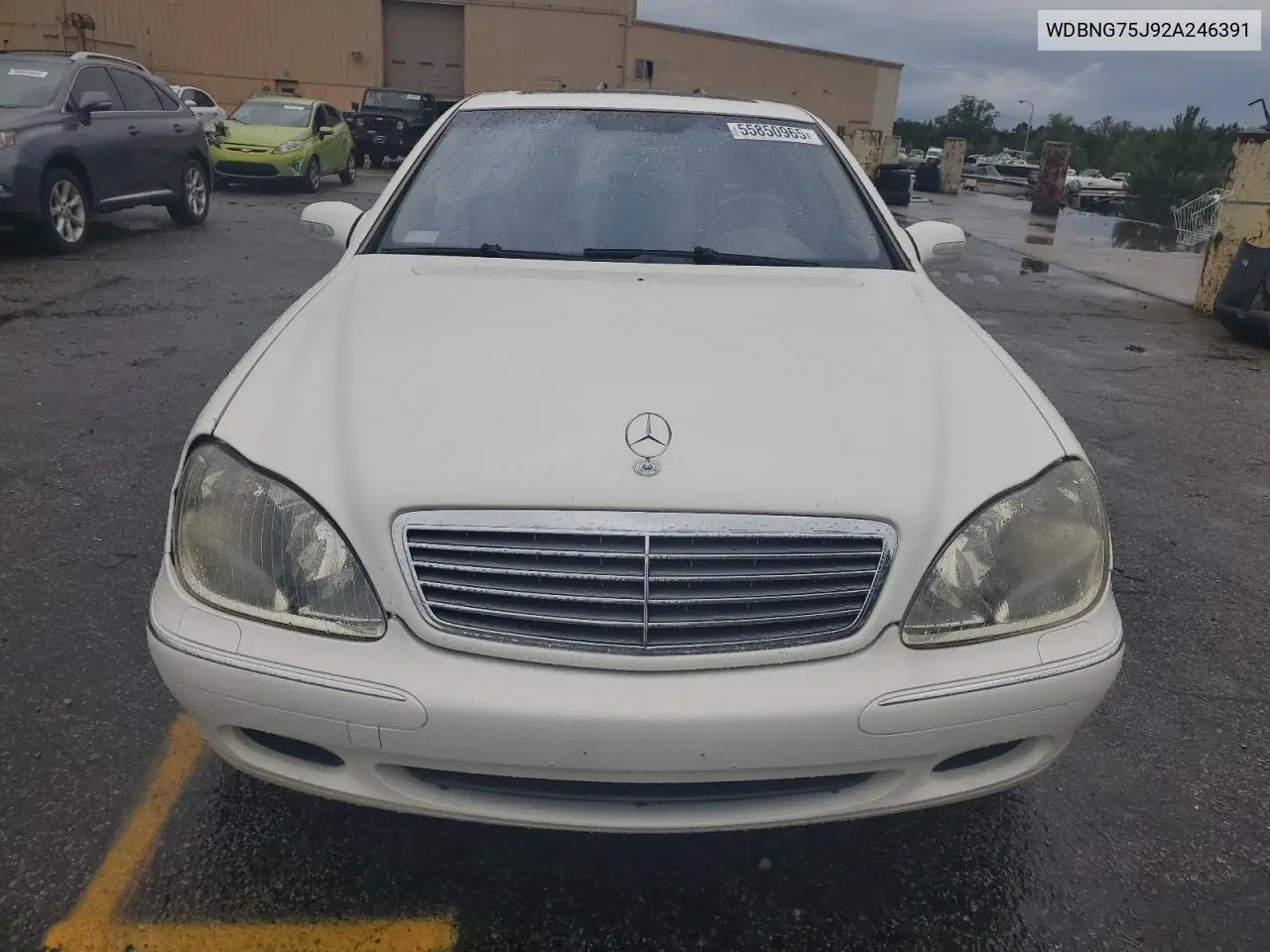 2002 Mercedes-Benz S 500 VIN: WDBNG75J92A246391 Lot: 55850965