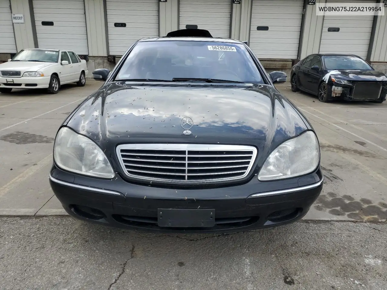 2002 Mercedes-Benz S 500 VIN: WDBNG75J22A219954 Lot: 56286855