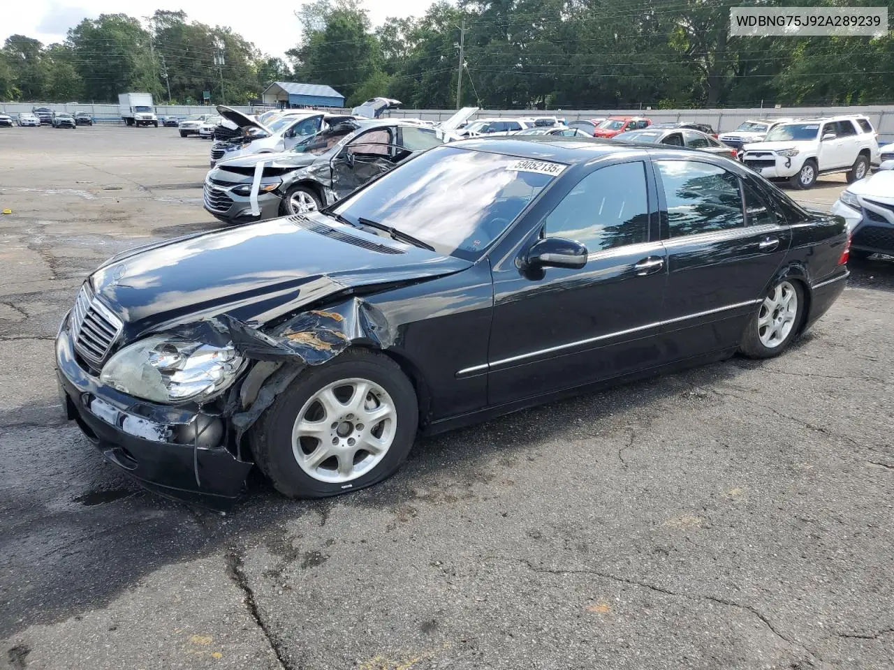 2002 Mercedes-Benz S 500 VIN: WDBNG75J92A289239 Lot: 59052135