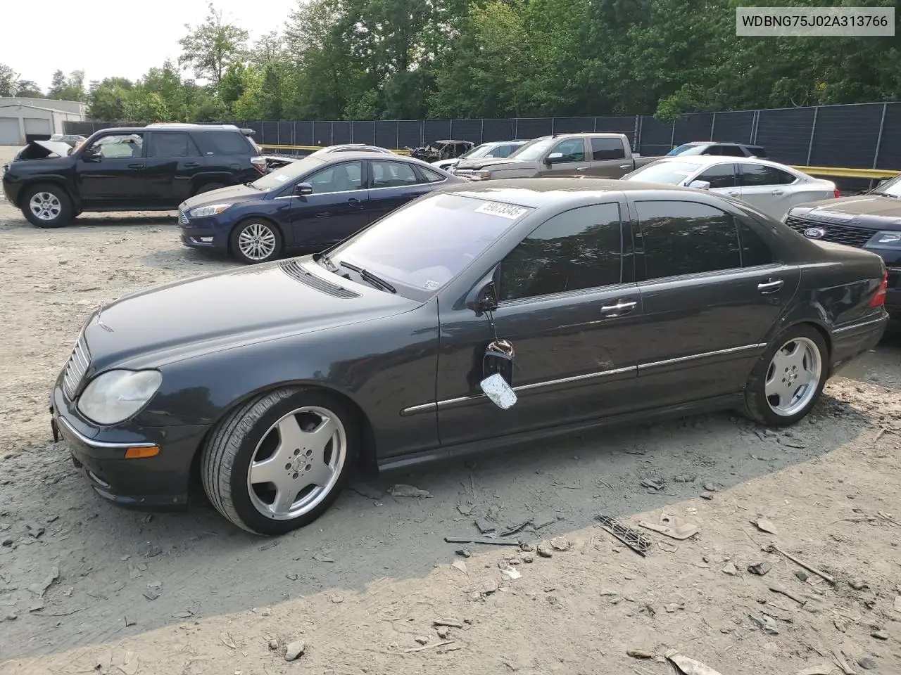 2002 Mercedes-Benz S 500 VIN: WDBNG75J02A313766 Lot: 59673345