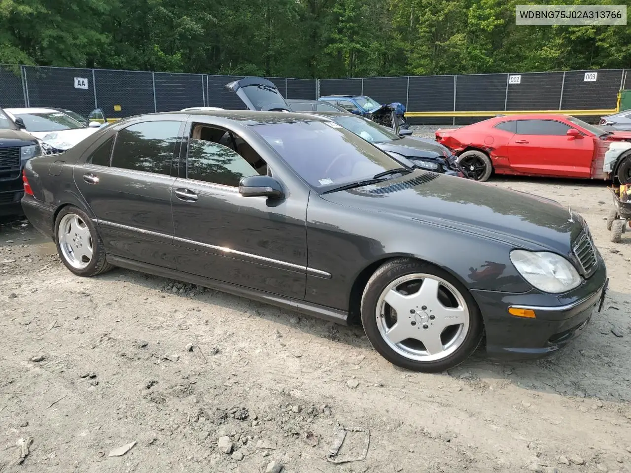 2002 Mercedes-Benz S 500 VIN: WDBNG75J02A313766 Lot: 59673345