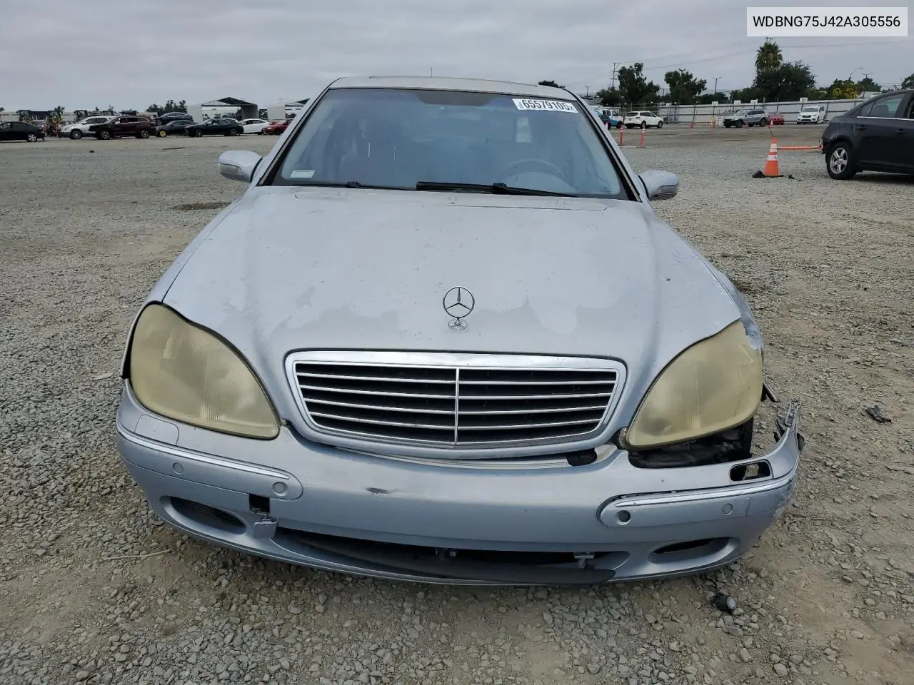 2002 Mercedes-Benz S 500 VIN: WDBNG75J42A305556 Lot: 65579105