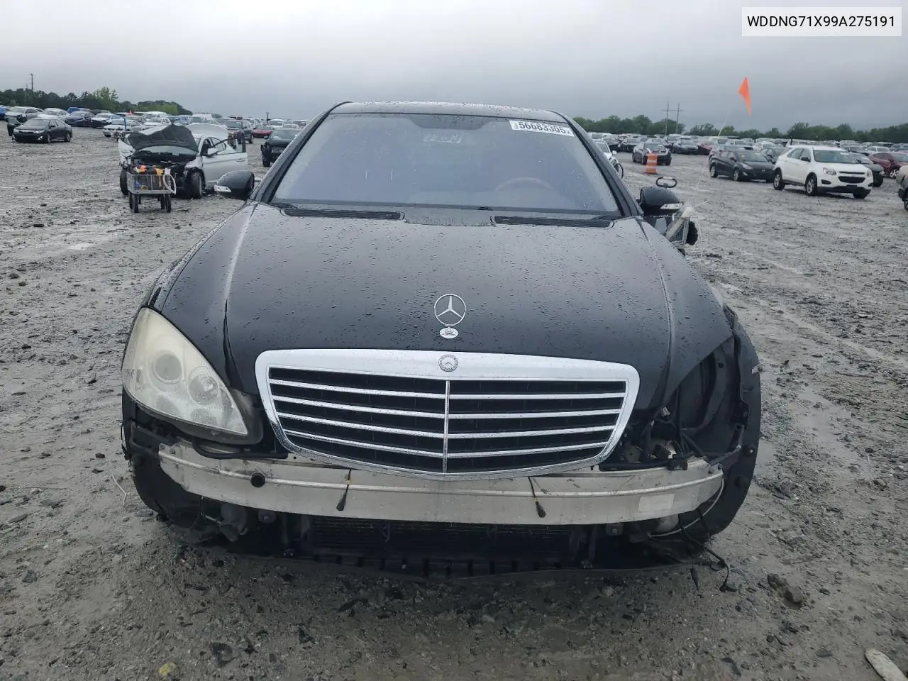 2009 Mercedes-Benz S 550 VIN: WDDNG71X99A275191 Lot: 56683305
