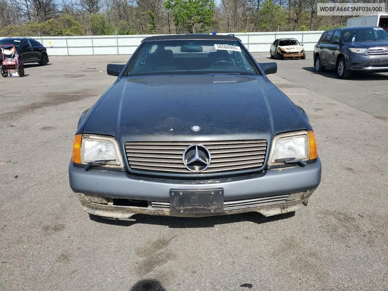 1992 Mercedes-Benz 500 Sl VIN: WDBFA66E5NF036900 Lot: 56508905