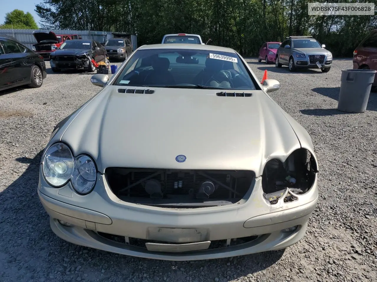 2003 Mercedes-Benz Sl 500R VIN: WDBSK75F43F006828 Lot: 59639995