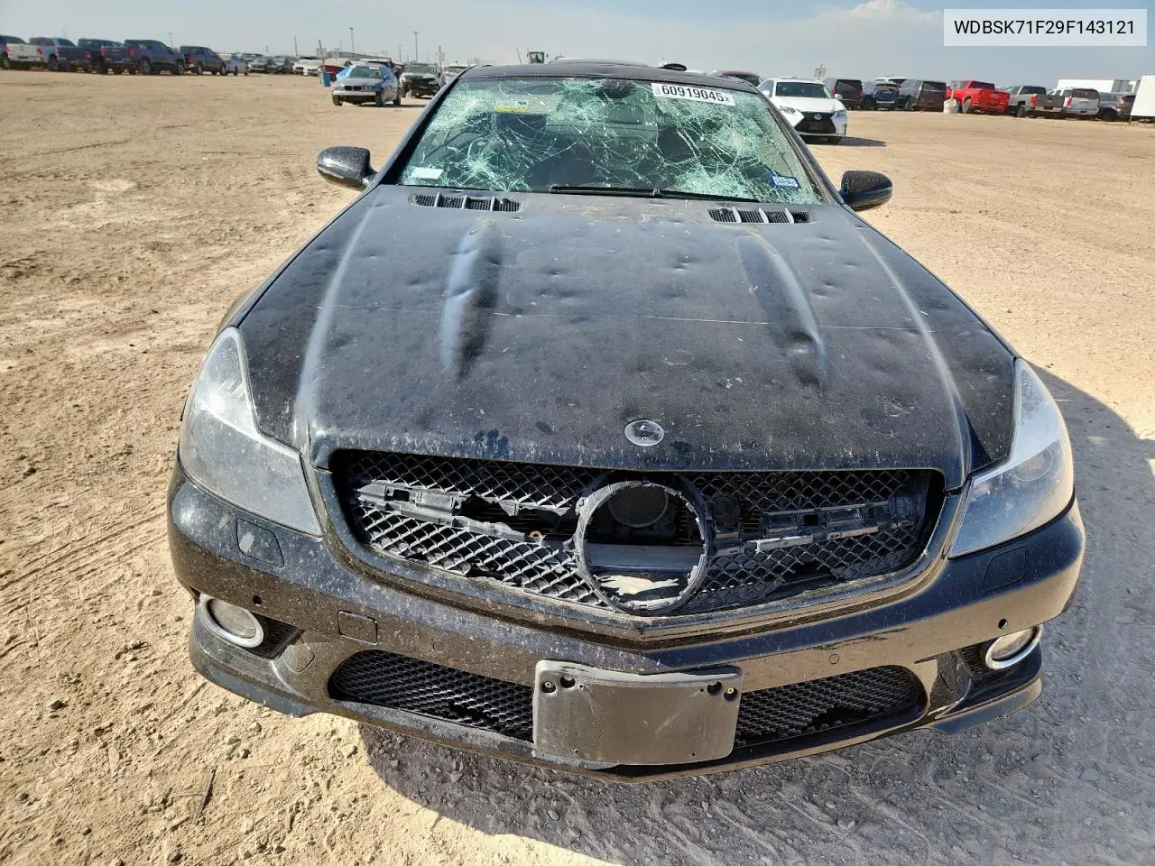 2009 Mercedes-Benz Sl 550 VIN: WDBSK71F29F143121 Lot: 60919045
