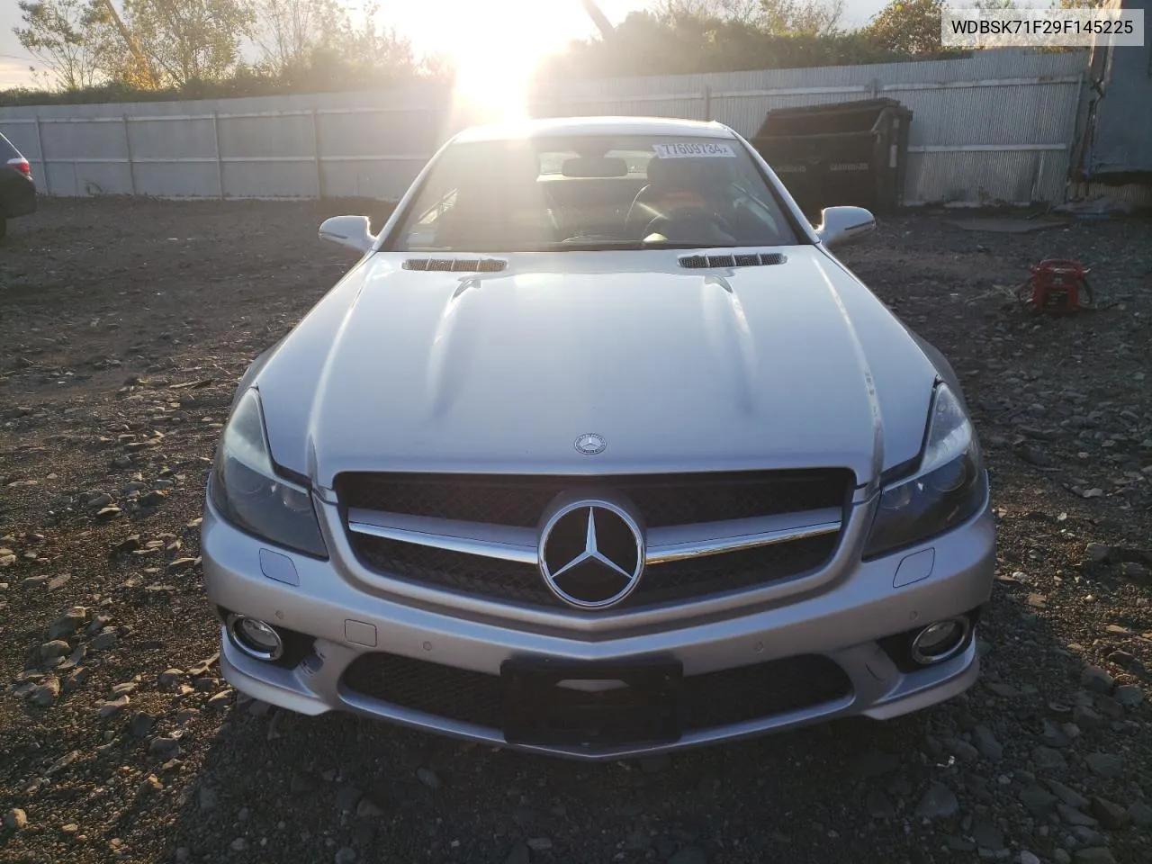 2009 Mercedes-Benz Sl 550 VIN: WDBSK71F29F145225 Lot: 77609734
