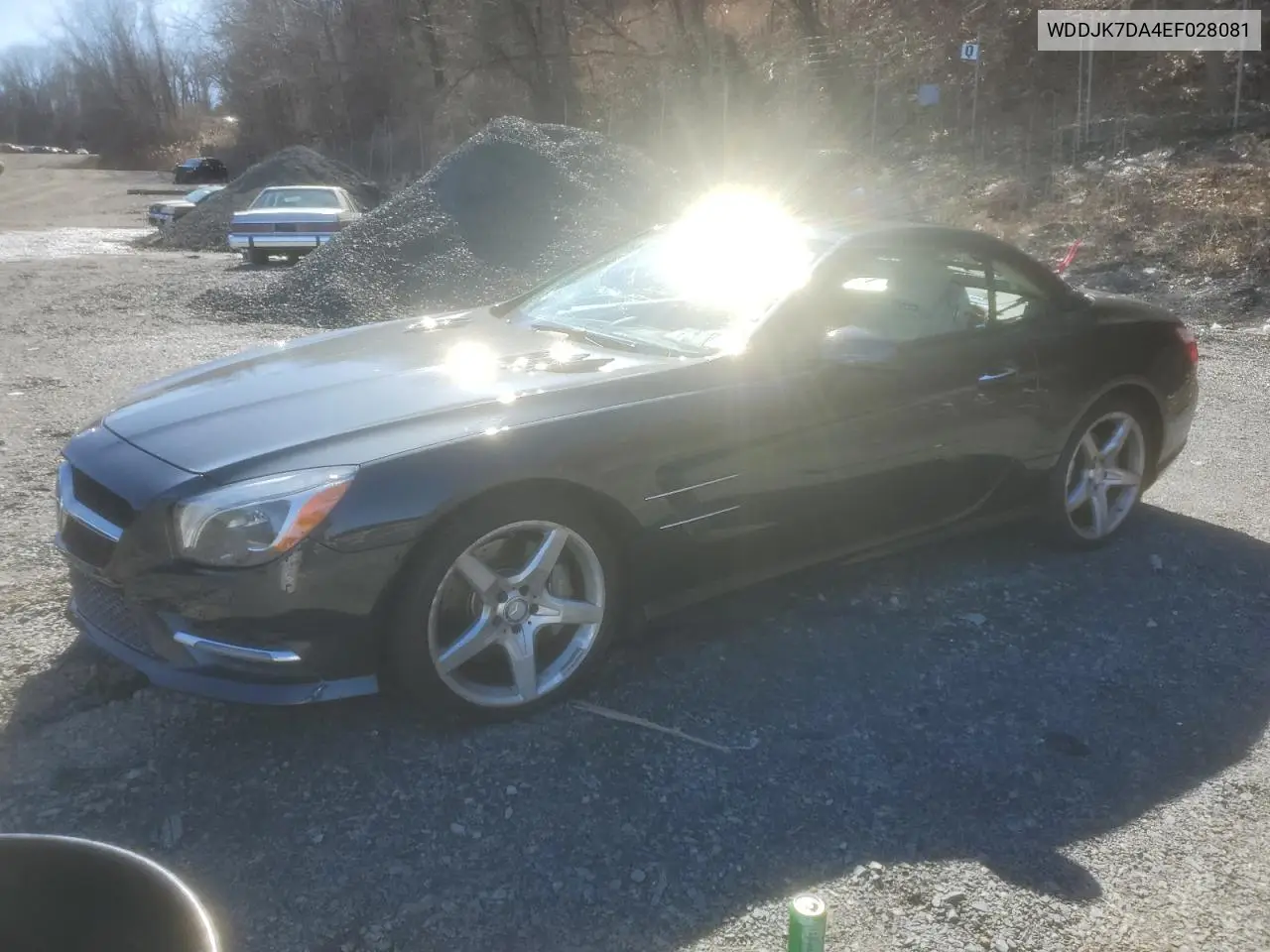 2014 Mercedes-Benz Sl 550 VIN: WDDJK7DA4EF028081 Lot: 49108695