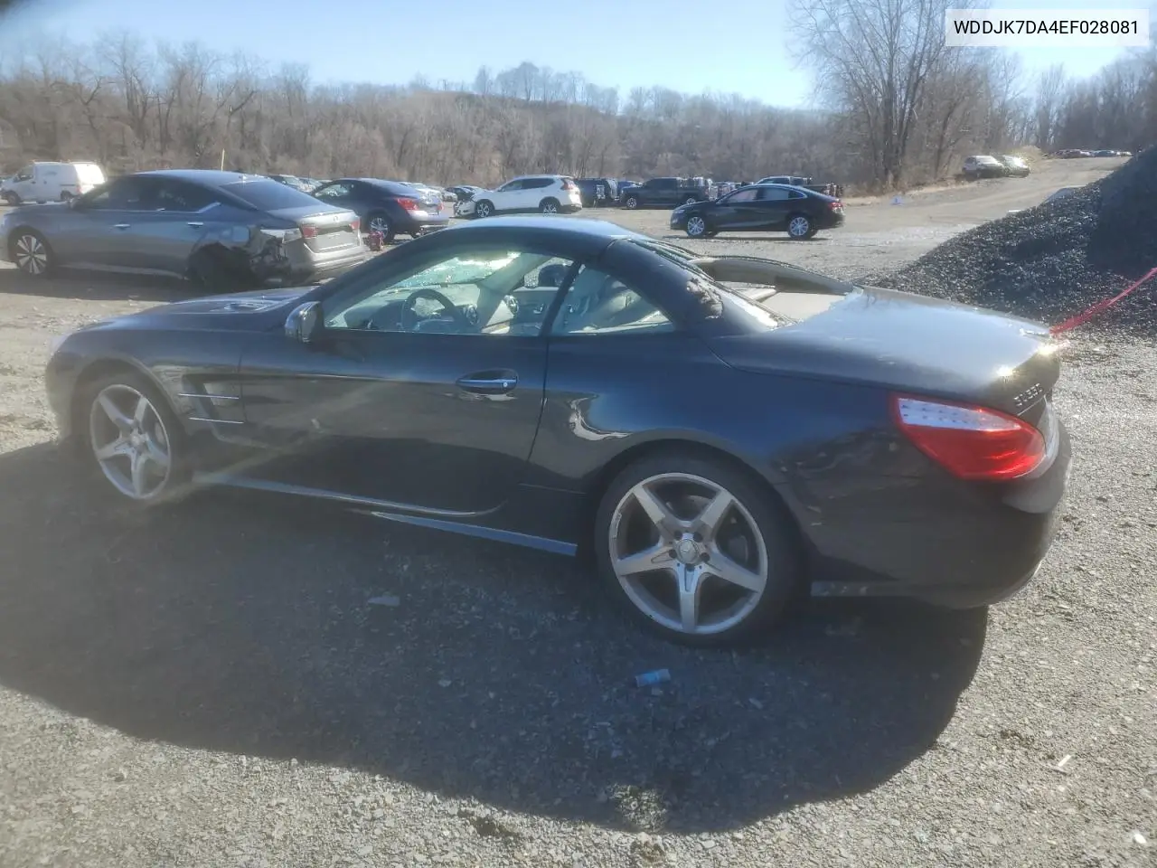 2014 Mercedes-Benz Sl 550 VIN: WDDJK7DA4EF028081 Lot: 49108695