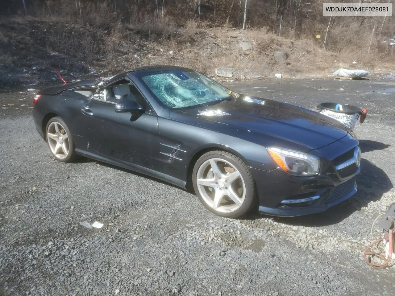 2014 Mercedes-Benz Sl 550 VIN: WDDJK7DA4EF028081 Lot: 49108695