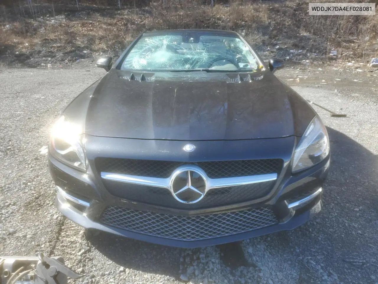 2014 Mercedes-Benz Sl 550 VIN: WDDJK7DA4EF028081 Lot: 49108695