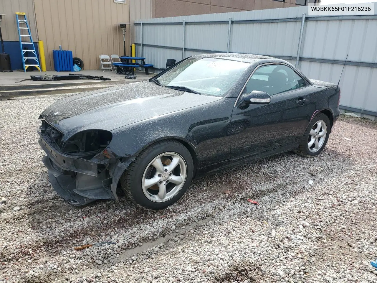 2001 Mercedes-Benz Slk 320 VIN: WDBKK65F01F216236 Lot: 51431855