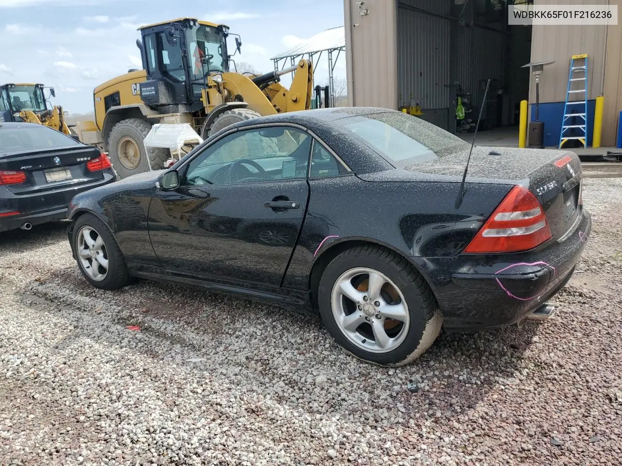 2001 Mercedes-Benz Slk 320 VIN: WDBKK65F01F216236 Lot: 51431855