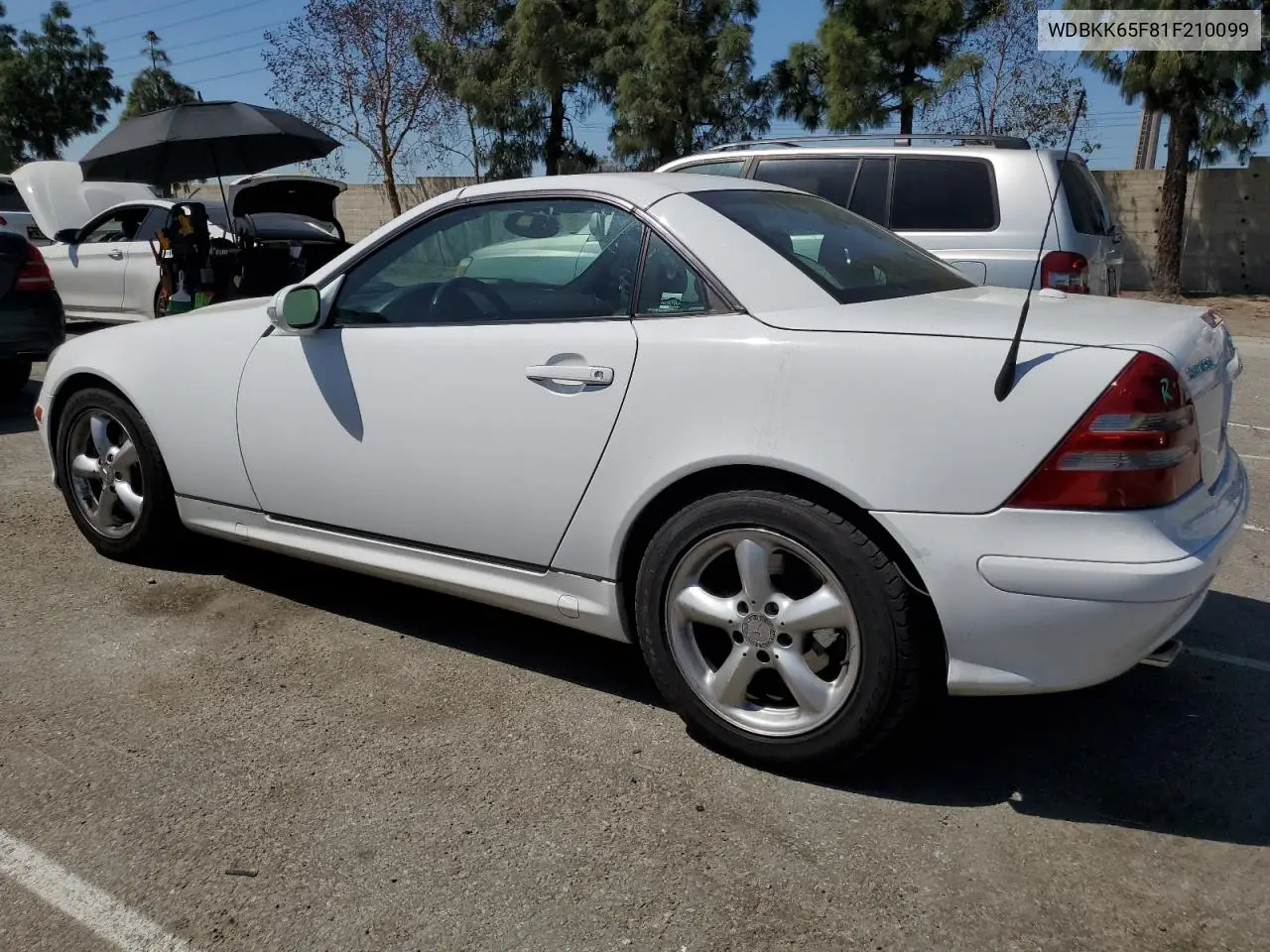 2001 Mercedes-Benz Slk 320 VIN: WDBKK65F81F210099 Lot: 52606105