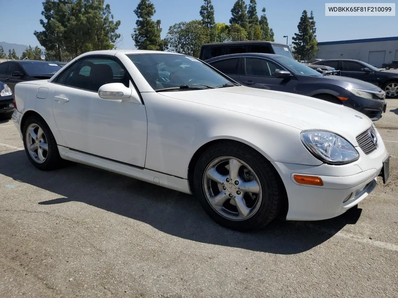 2001 Mercedes-Benz Slk 320 VIN: WDBKK65F81F210099 Lot: 52606105